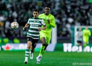 开云体育官方网站-包含多特蒙德遭遇连败，赛季前景扑朔迷离的词条