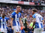 开云体育平台APP-关于布莱顿主场告捷，保级斗争转机的信息