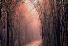 开云体育入口-泰国羽毛球队强势碾压丹麦，陶菲克再创“霸主”荣光