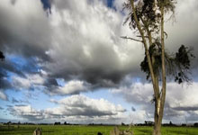 开云体育平台APP-爵士强势猛龙，萨博尼斯爆发神勇——新赛季篮球盛宴的精彩纷呈