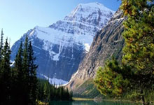 开云体育app-勇士B队逆转凯尔特人，布克爆发神勇——篮球场上的精彩奇迹