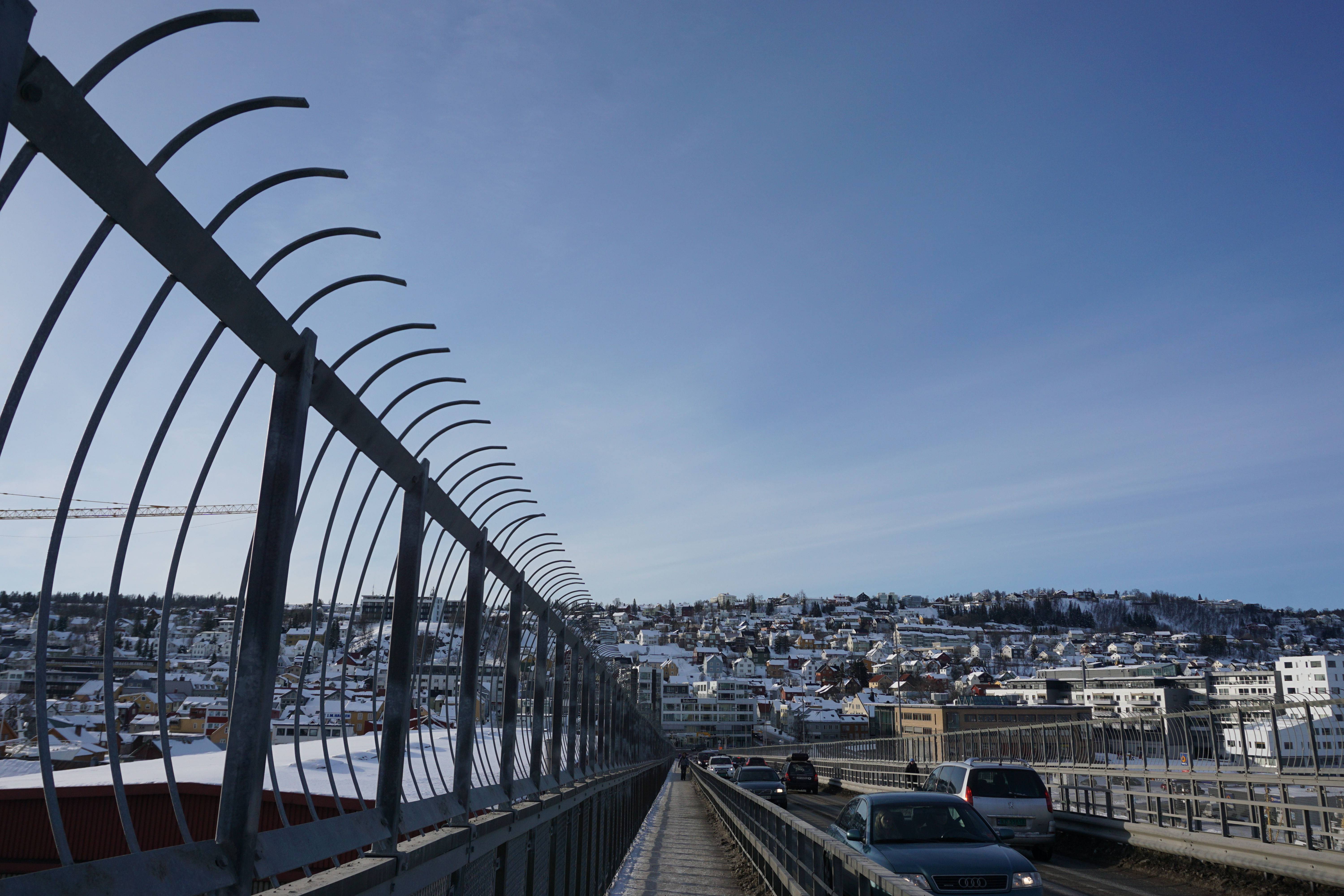 法国备战挪威，追求胜利之路