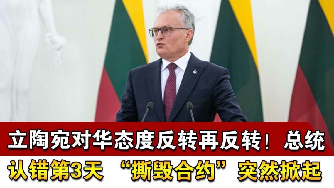 立陶宛队逆转获胜，实力获得认可