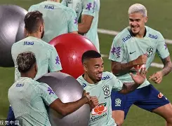 南美洲杯赛中一位球星因伤缺席关键比赛的简单介绍