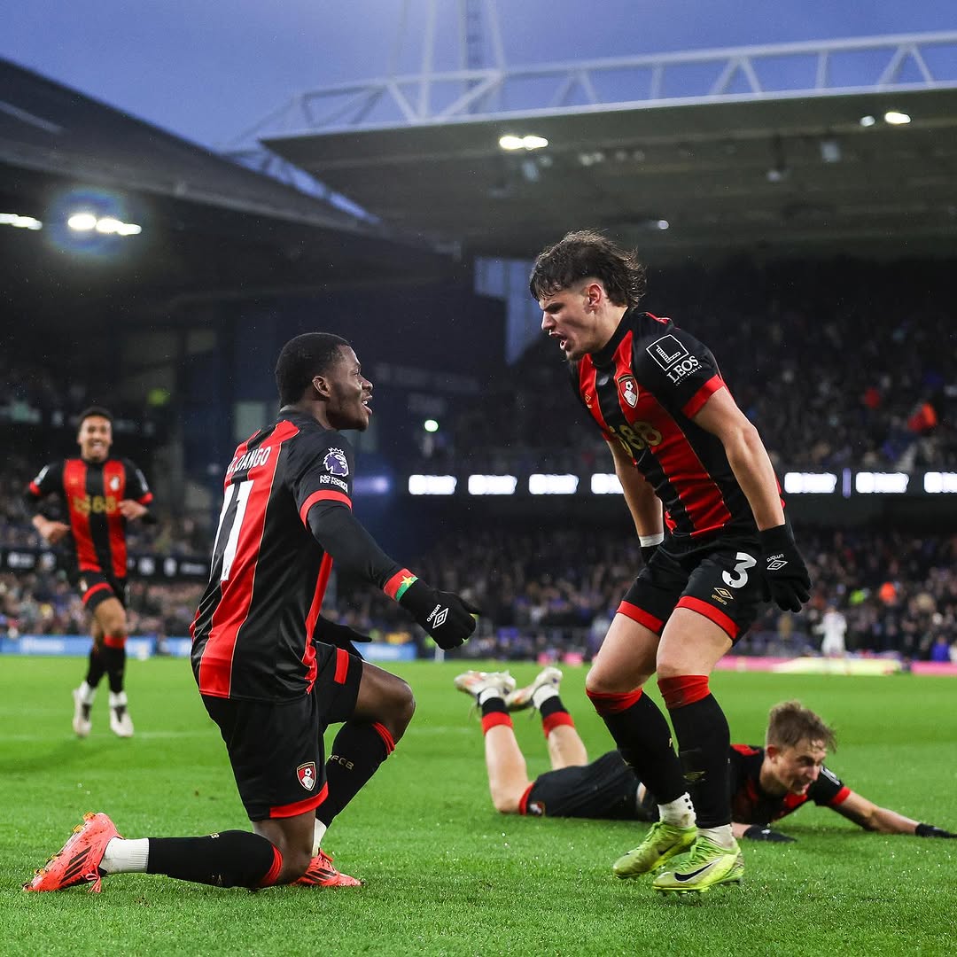 关于布莱顿主场告捷,保级斗争转机的信息 关于布莱顿主场告捷,保级斗争转机的信息