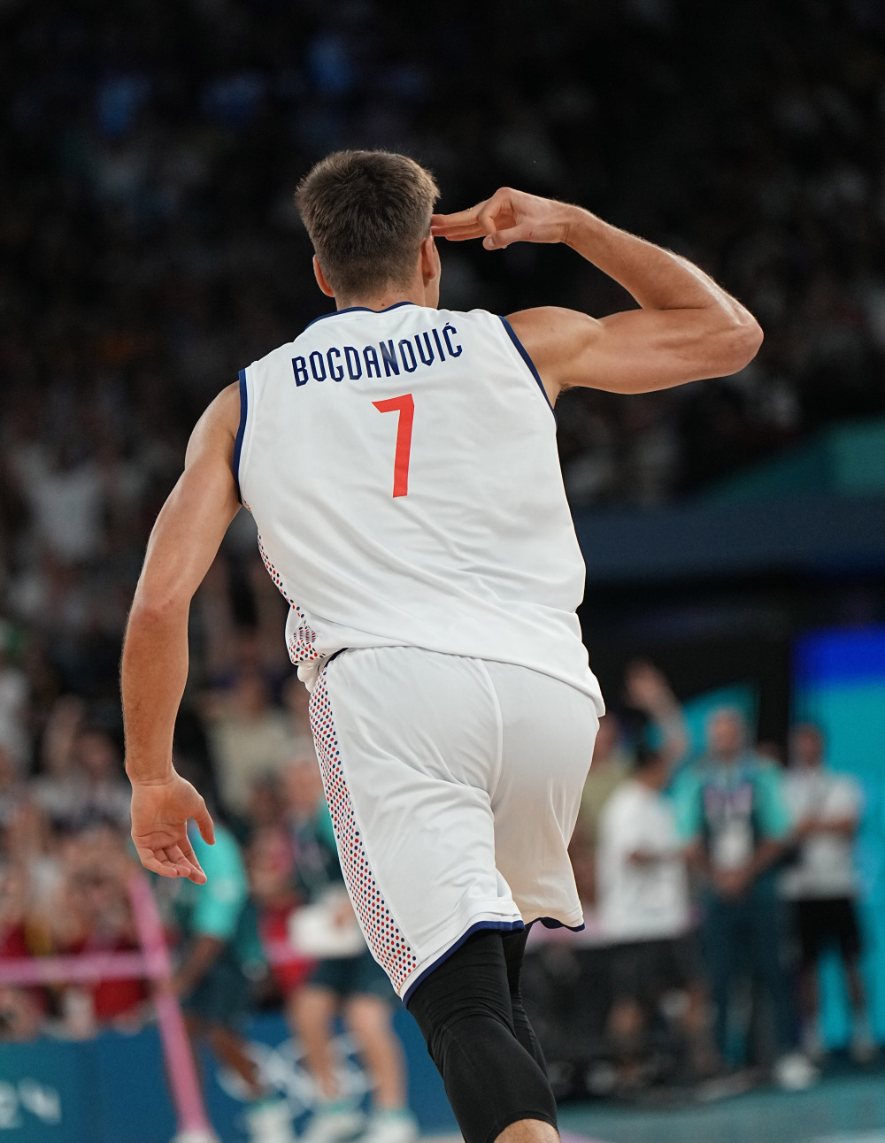 塞尔维亚球队在主场获得胜利 塞尔维亚球队在主场获得胜利