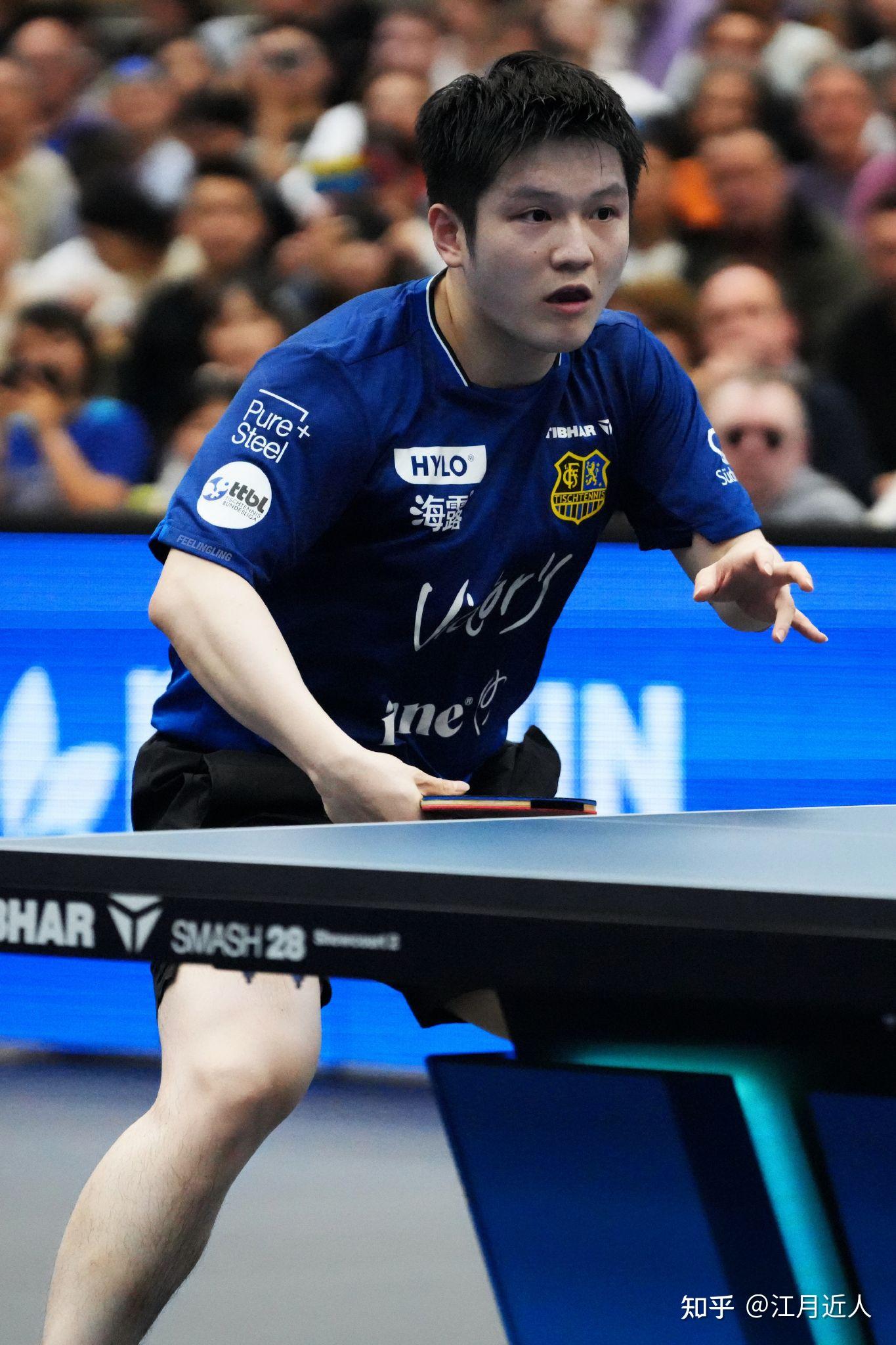 法国乒乓球队力克德国乒乓球队,樊振东关键制胜的简单介绍 法国乒乓球队力克德国乒乓球队,樊振东关键制胜的简单介绍